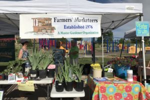 white pop up tent, table filled with succulents, banner that reads "farmers marketters established 1976 a master gardener oganization"