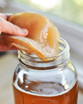 scoby and brewed tea