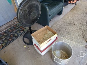 boxlid of wheat in front of black standup fan