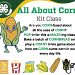 green, white, and yellow cartoon ear of corn graphic  "all about corn" class 