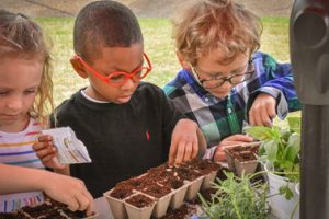 three kids playin with dirt and planting. one white girl one black boy with red glasses one white boy