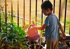 brown haired boy watering flowers with pink watering can