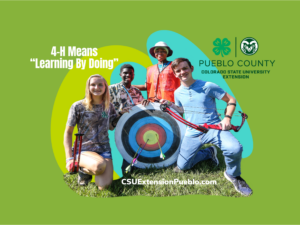 4-H learn by doing pueblo county 4-H four youth, 2 african american boys, a white girl, a white boy near an archery target