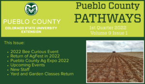 green and gold background with extension logo, "pueblo county pathways" in this issue 2022 bee curious event,return of ag fest 2022, 2022 ag expo, upcomign events, new staff, yard and garden classes return
