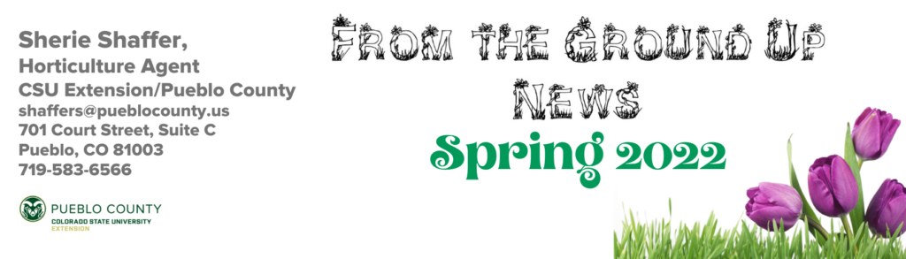 from the ground up spring 2022 newsletter
