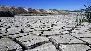 cracked dry lake bed