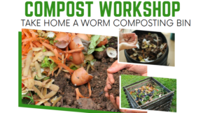 compost worshop home worm compost photos of dirt worms and vegetable scraps used for composting