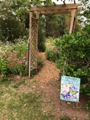 a walking path going under a wooden trellis