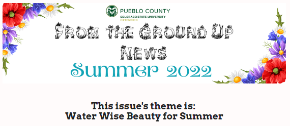 from the ground up newsletter summer 2022 with a boarder of red and purple flowers