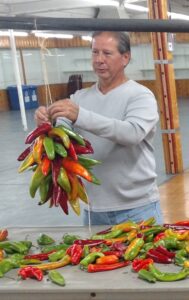 man in grey sweatshirt holding a bunch of green red and yellow chile pepers
