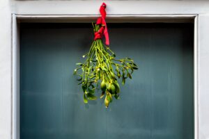 green mistletoe plant, stems wrapped with red ribbon, hanging upside down in front of a teal colored wooden door