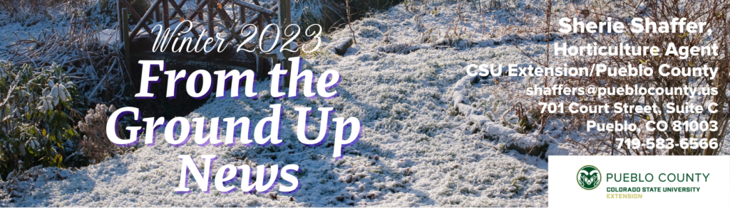 From the Ground Up News Winter 2023 white text over a snow covered hill