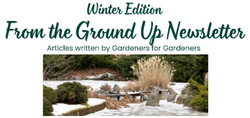 winter edition from the ground up news. frozen stream with green bushes on either side with snow underneath
