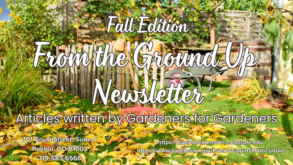 picture of yellow leaves on green grass and a red rake in front of a wooden fence. Typeface on the cover says Fall Edition from the ground up newsletter articles written by gardeners for gardeners with the CSU Extension Pueblo County address and website.