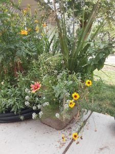yellow and pink flowers in an earthen pot sitting on a concrete patio in front of a garden