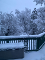 winter scene - trees and wooden deck with rails covered in about 5 inches of snow