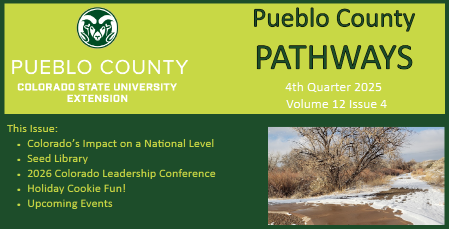 Pueblo County Pathways 4th Quarter 2025 in this issue Colorado's Impact on national level; seed library; 2026 colorado leadership conference in 4-H; Holiday cookie fun; upcoming events. On the rigth there is a photo of a snowcovered path with a dormant tree and a blue sky with white clouds